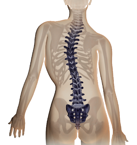 Escoliose da Criança e do Adolescente
